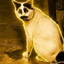 Momod