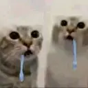 Drooler