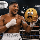 NOO FIGHT