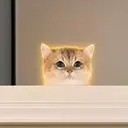 Fomocat