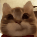 tina