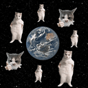 Catstronomy