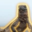$IGUANA