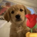ILY