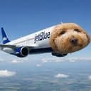 JETBLUE