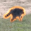 Jimothy