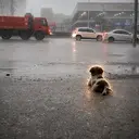 Dogrates