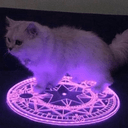 WAGMIOWAMG