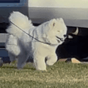 CASPER