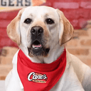 CANE