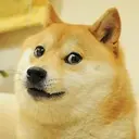 DOGE
