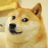 DOGE