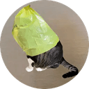 CATWIFBAG