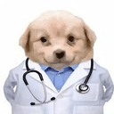 dogtor