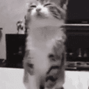 ACAT