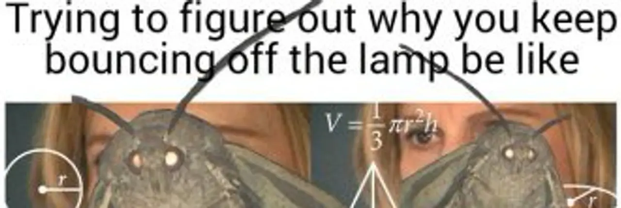 Moth Banner