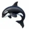 orca