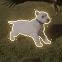 DAISY