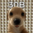 30B
