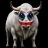 BULLTARDIO