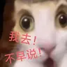 我去 不早说