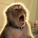 SINGING
