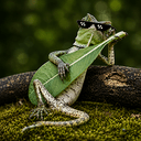 RIFF