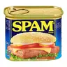 SPAM