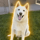 Sol