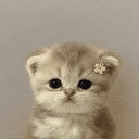 Pussy