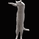 LONGCAT