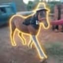 HIP
