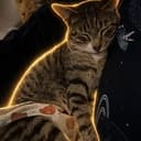 FIRECAT
