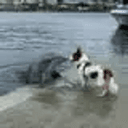 Friendship