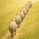 Herd