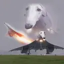 borzoiplane