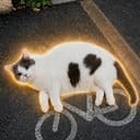 Cyclecat
