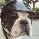 vbull