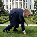 trumpothy