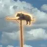 BOP