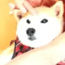 Neiro