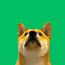 pUP