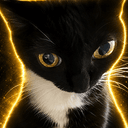 Meowderator