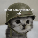 trenchcat