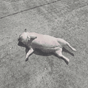 POTDOG