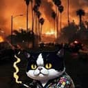 BurnCat