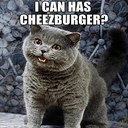 CHEEZBURGER