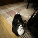 TINA