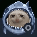 sharkcat