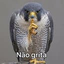 Nãogrita